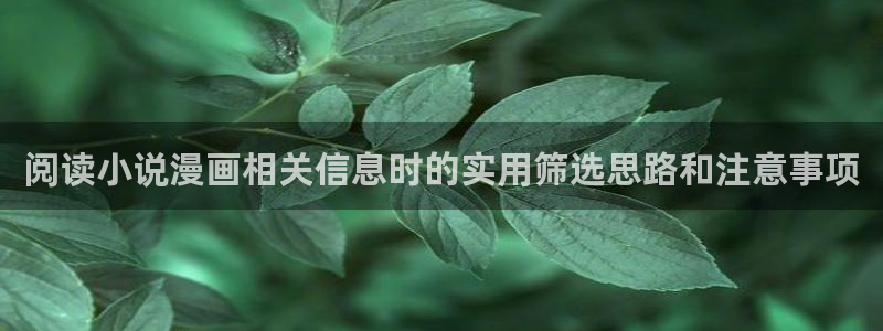 歪歪漫画漫画导航：阅读小说漫画相关信息时的实用筛选思路和注意事项
